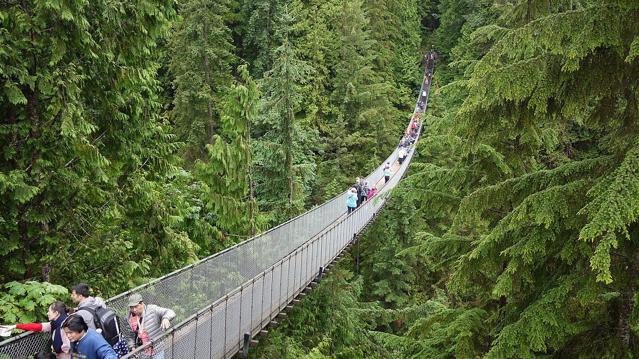 Capilano Suspension Bridge